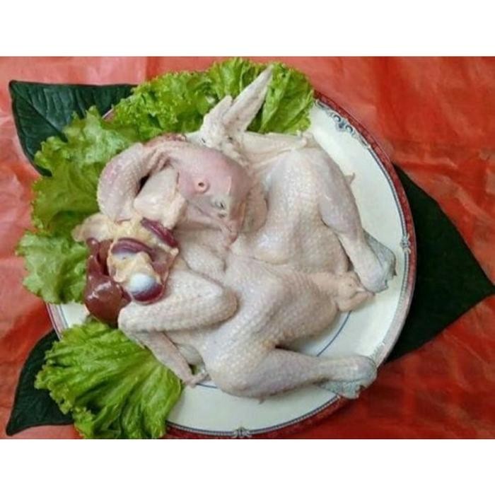 Ayam Kampung Lepas / Umbaran