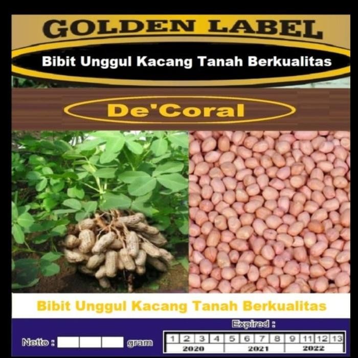 

Terbaru Benih Kacang Tanah Unggul Kemasan Derigen Fresh Seed
