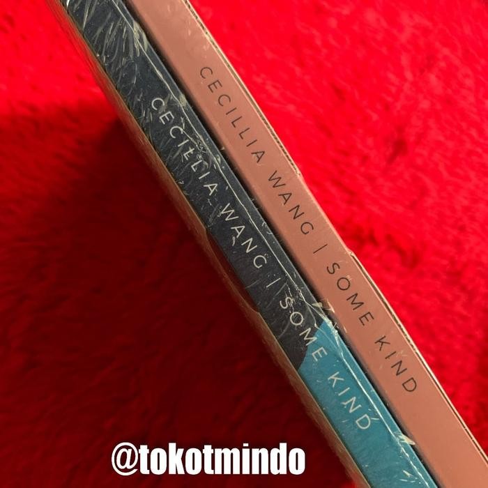 Novel SOME KIND (Cecillia Wang)