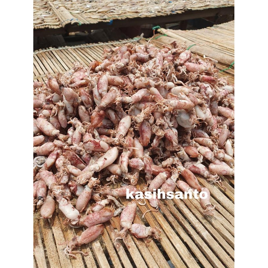 

Aneka Ikan Asin Cumi