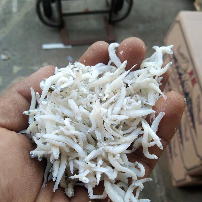 

Teri Nasi Medan/Teri Nasi Halus/Ikan Asin Teri Medan