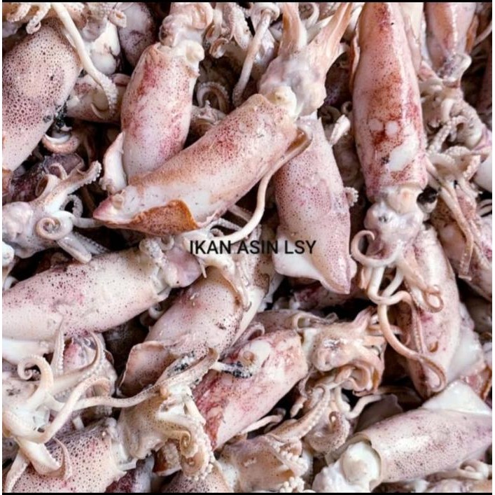 

Ikan Asin Cumi Rebus / Sotong Rebus Size Jumbo 250Gram