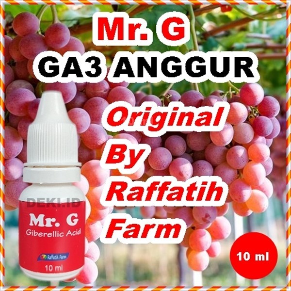 (Expert) Mr. G Hormon GA3 Untuk Tanaman Anggur By Raffatih Farm GA 3