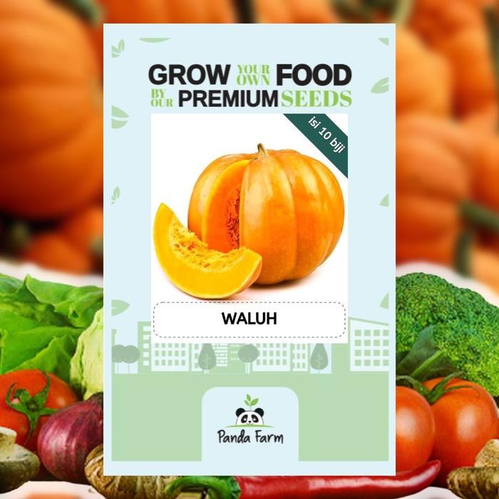 Benih Buah Waluh Terlaris