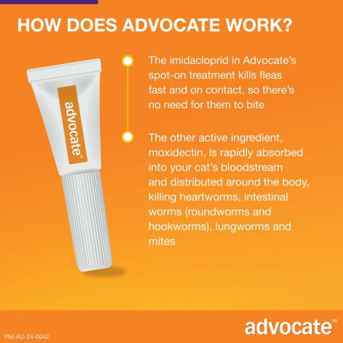 ADVOCATE Cat Obat Kutu Kucing Advocate Elanco