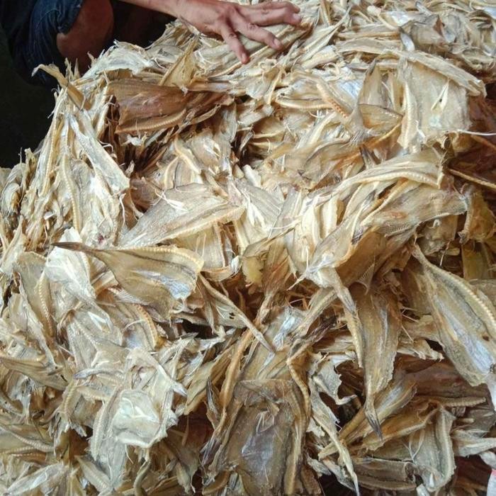 

PREMIUM IKAN KERING ASIN TIPIS PEPIJA KHAS TARAKAN KALTARA ORIGINAL