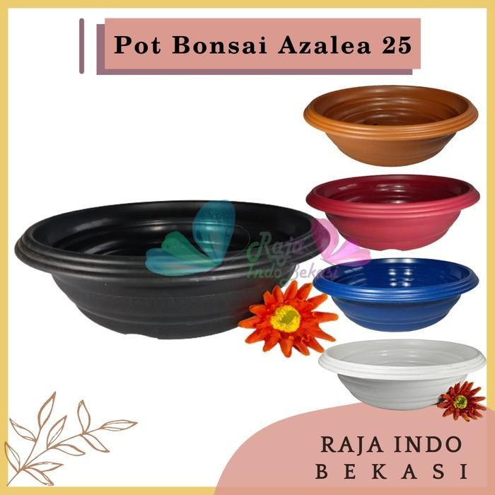 [Sp] Pot Bonsai Azalea 25 Cm Pot Bonsai Tawon Ceper Plastik Untuk Bonsai Kelapa - Azalea Putih