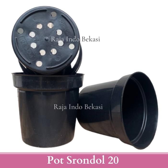 [Sp] Pot Tinggi Srondol 20 Pot Bunga Tinggi Pot Hias Aglonema