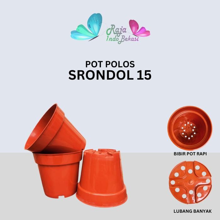 [Sp] Pot Tinggi Srondol 15 Pot Bunga Tinggi Pot Hias Aglonema
