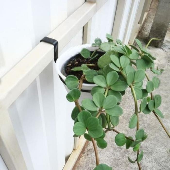 Gardening_Love Rak Pot Tanaman/Standing Rak Gantung Tanaman