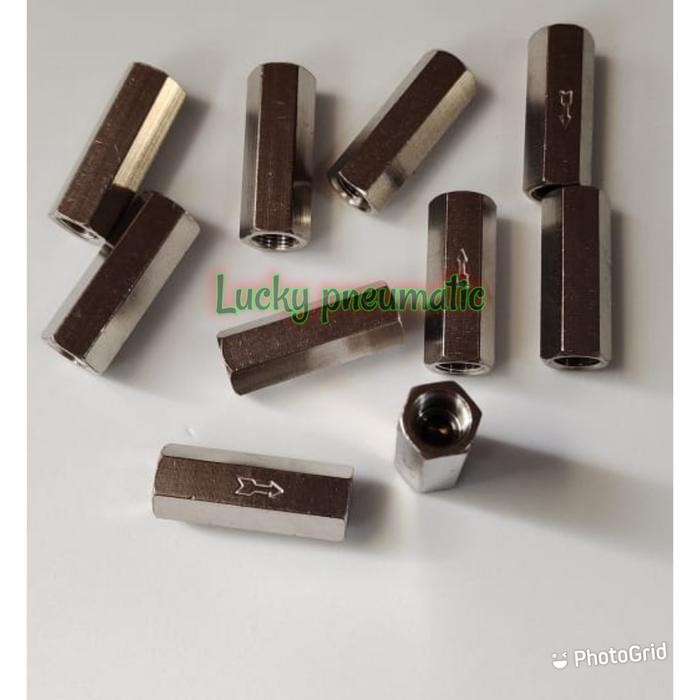 Check valve/one way valve 1/8 inch drat dalam