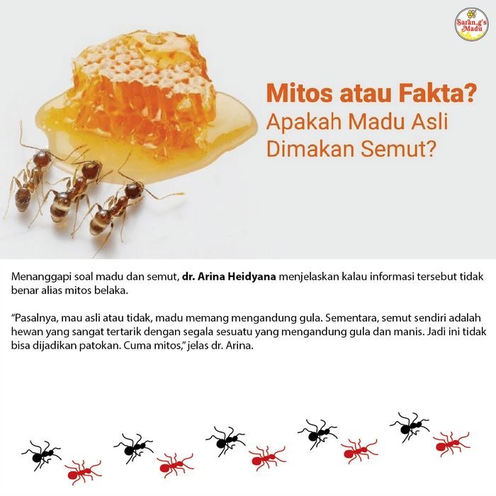 

Madu Super 4In1, Madu+Royal Jelly+Bee Pollen+Propolis, Recommended