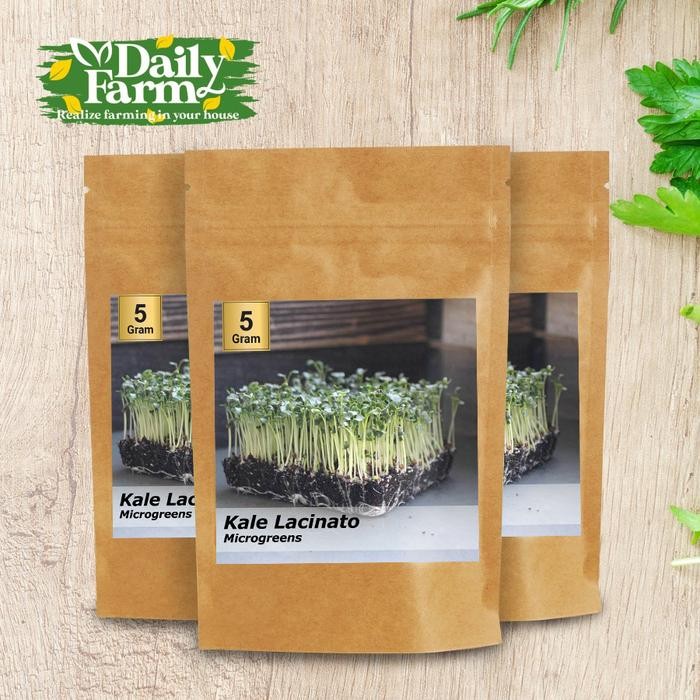 Terang Tani Benih Sayur Microgreen Kale - Kale Microgreen