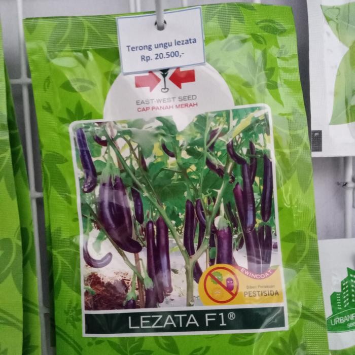 Benih Bibit Terong Ungu Lezata F1