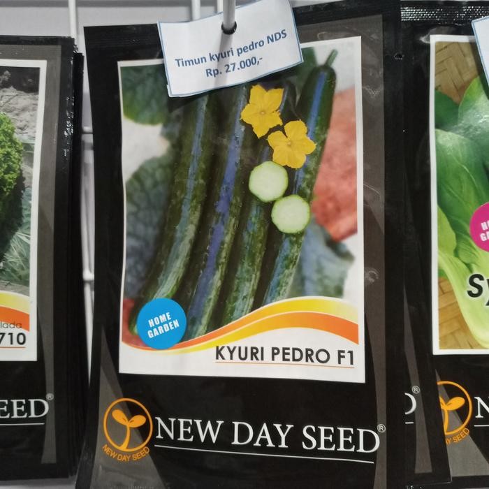 Benih Timun Jepang Kyuri F1