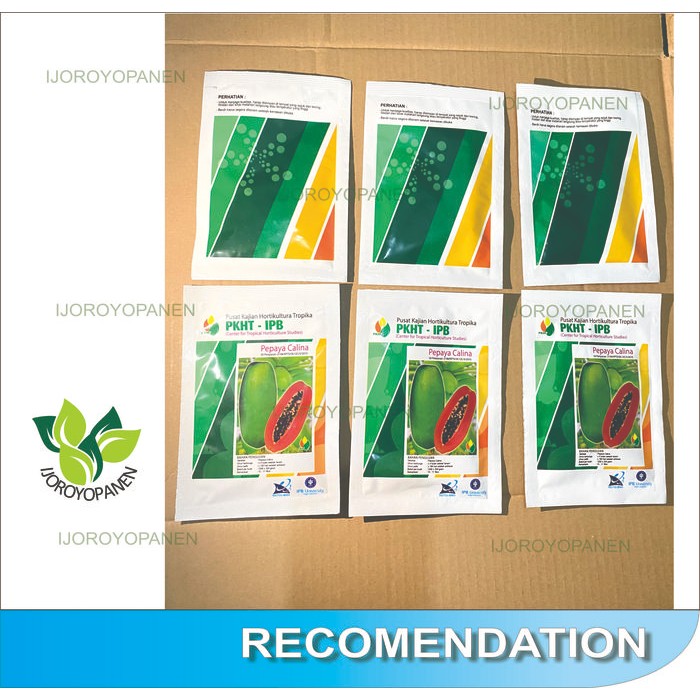 BENIH PEPAYA CALINA CALIFORNIA IPB ISI 250 butir PKHT IPB