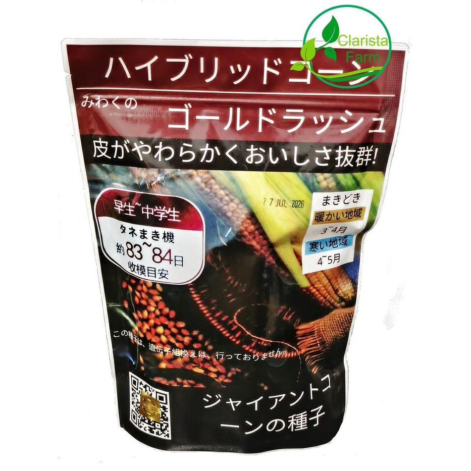 1 KG BIJI / BENIH JAGUNG RAKSASA KEMASAN