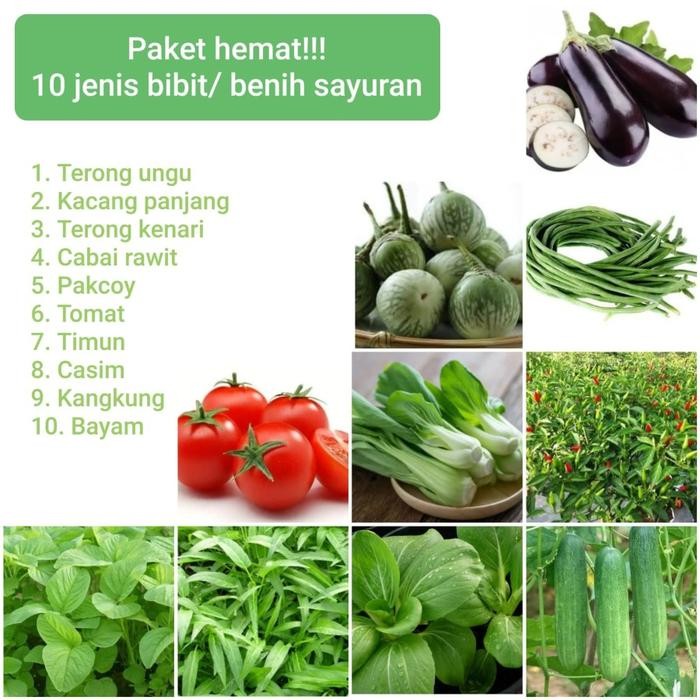 JTTOP" PAKET BENIH BIBIT SAYURAN ISI 10 JENIS SAYURAN DAN BUAH