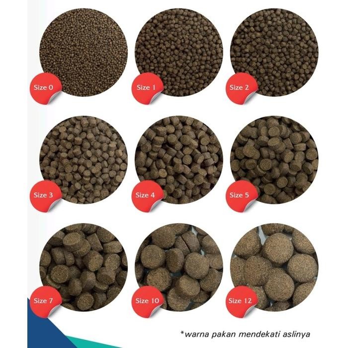 1 KG MEGAMI GR PN SB PELET PAKAN IKAN KERAPU KAKAP KOI HIAS KOKI MS LAUT 1KG 1 KILO