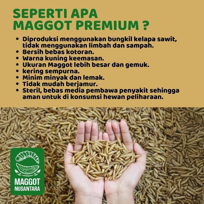TEPUNG PROTEIN HEWAN MAGGOT BSF MAGGOT NUSANTARA 1 KG - PRODUK PREMIUM UNTUK PAKAN BERPROTEIN TINGGI