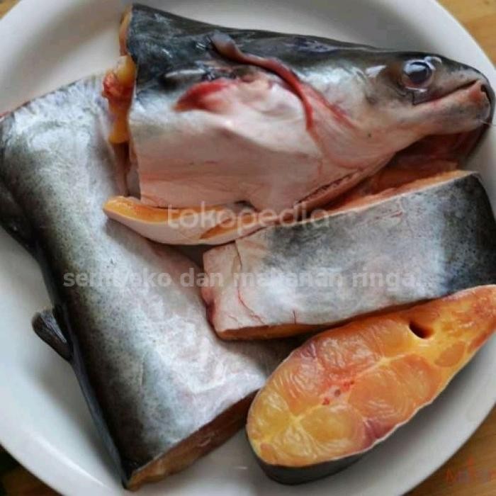 

ikan patin segar 1 kg