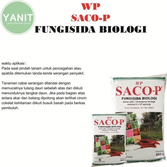 Fungisida Biologi WP SACO-P