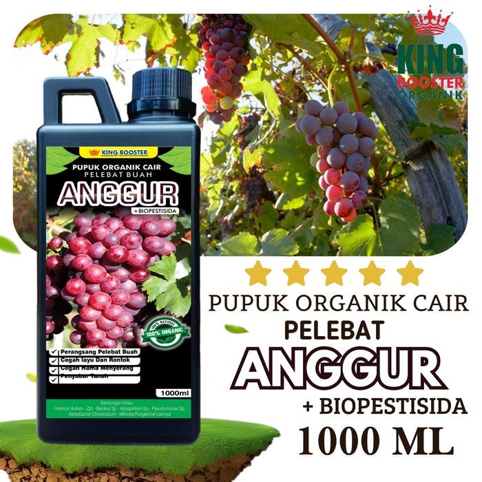 Pupuk Organik Cair 1000ml ( 1 liter ) Tanaman Buah ANGGUR, Booster Buah ANGGUR Tanaman Anggur,