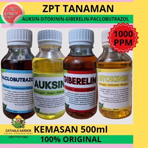 ZPT HORMON TANAMAN 1000 PPM KEMASAN 500ML AUKSIN SITOKININ GA3 PACLO