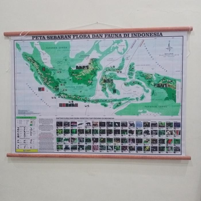 

Ready Peta Sebaran Flora Dan Fauna Di Indonesia