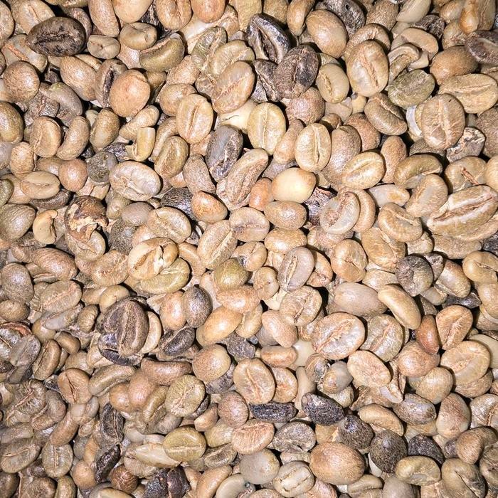 

GREEN BEAN KOPI ROBUSTA ASALAN G3 A- 1KG -NATURAL PROSES- (GRATIS ONGKIR)