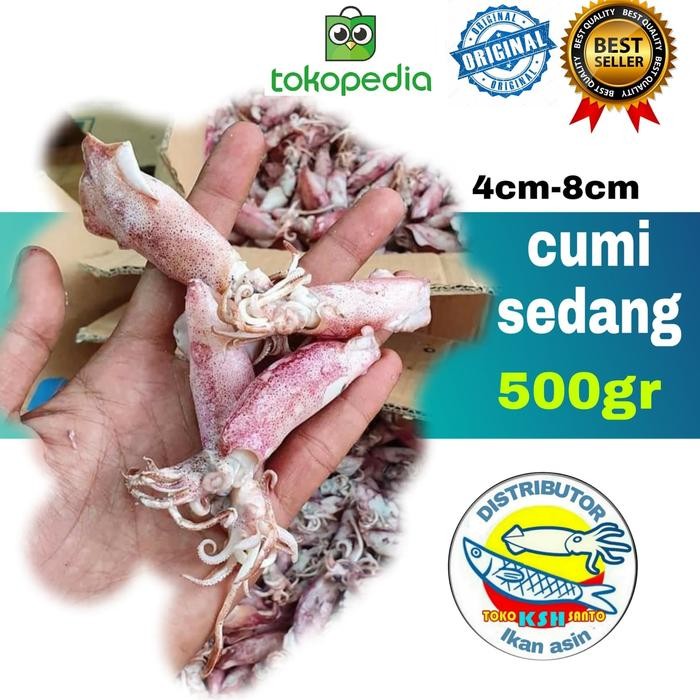 

aneka ikan asin cumi New