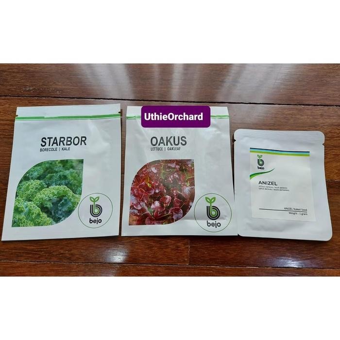 Benih Bejo Seed - Selada Batavia Lilybel Kemasan 1000 Pills