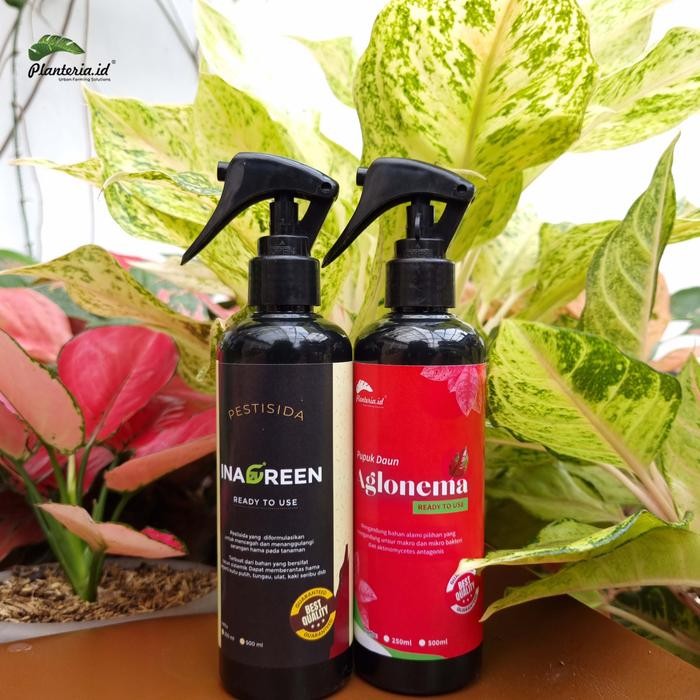 Bundling Hemat Pupuk Aglonema 250ml+Pestisida 250ml Berkualitas Daun Tanaman