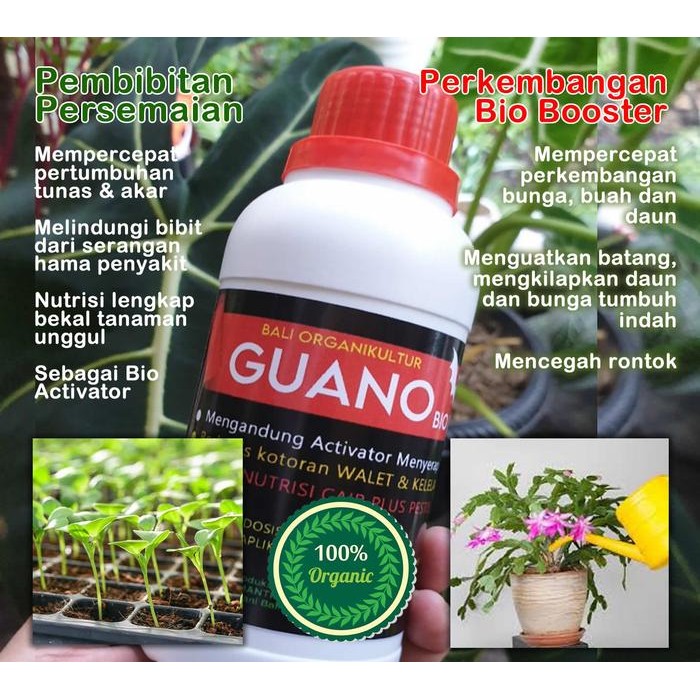 Pupuk Guano Cair Pupuk Organik Tanaman Hias Pelebat & Penyubur Tanah