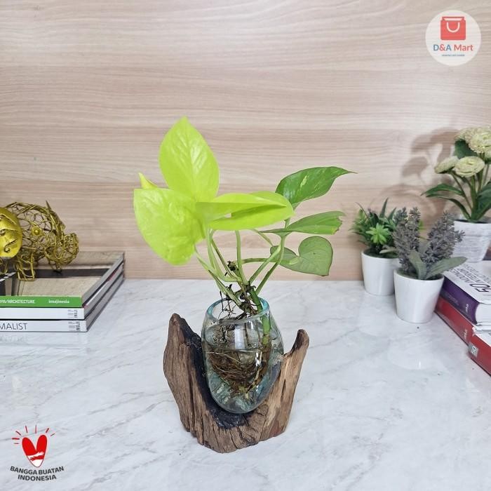 reny Vas Kaca Tiup Akar Kayu Kecil Pot Kaca Glass Wood Terrarium Home Decor