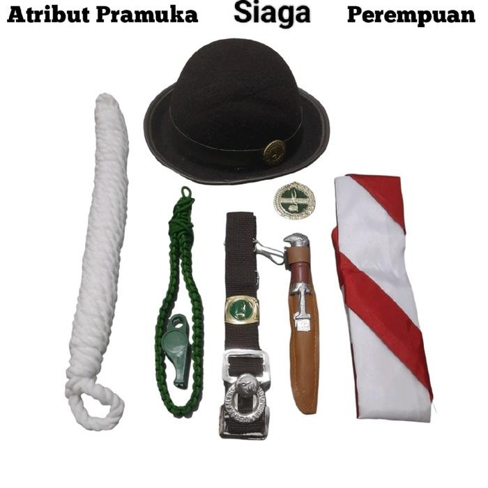 (Expert) Atribut Pramuka SD Perempuan