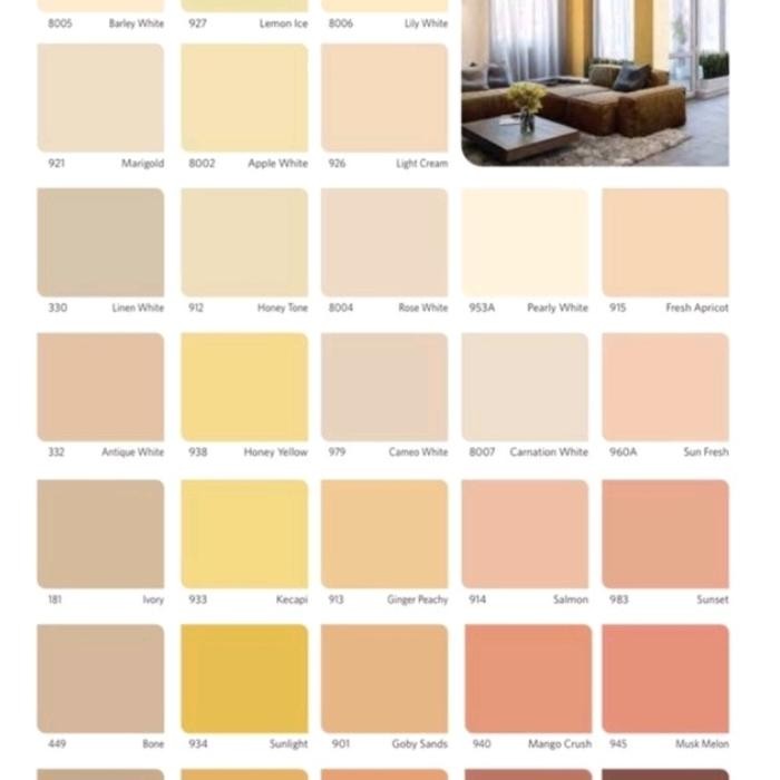 CAT TEMBOK VINILEX 1 KG