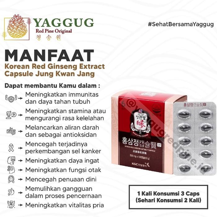 TOP" JUNG KWAN JANG RED GINSENG KOREA KAPSUL ISI 100
