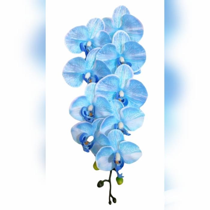 Bunga Anggrek Artificial Latex - Biru