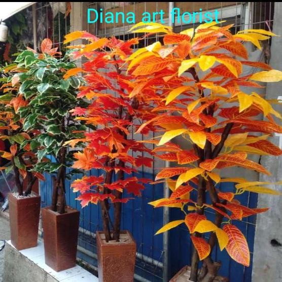 bonsai sinfu#aneka bonsai #bonsai plastik