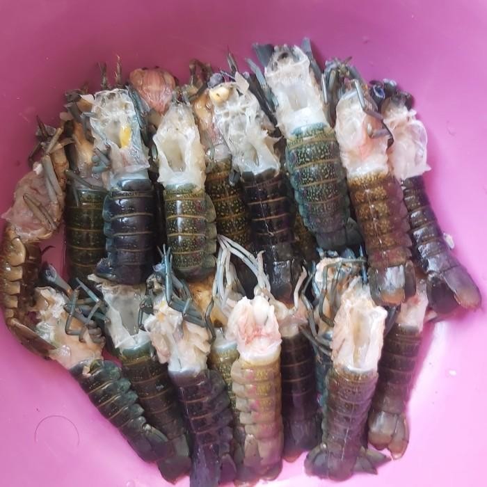 

(Expert) Lobster Air Tawar Freshwater Tail Frozen 250 gr
