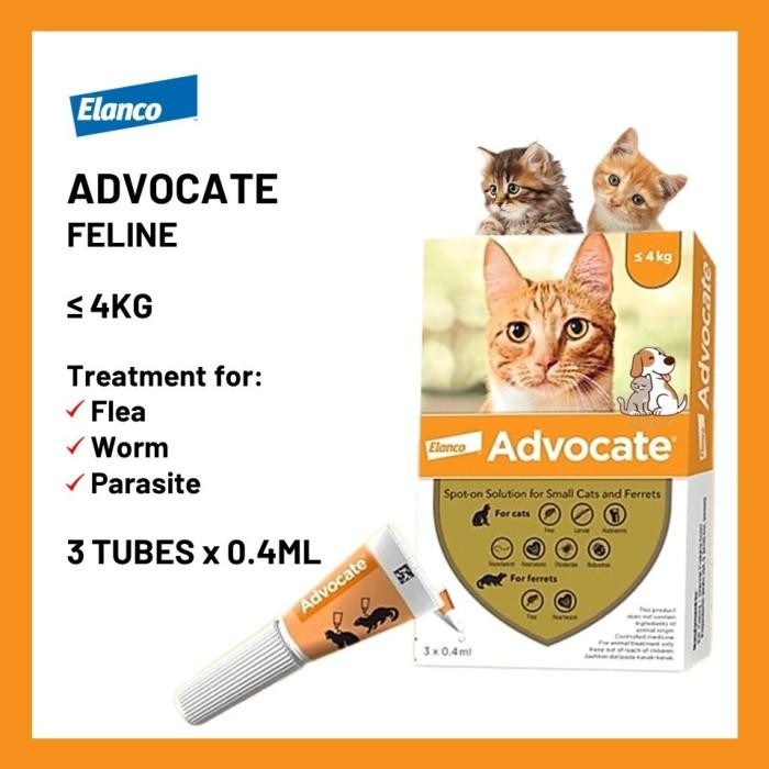 Obat Kutu Kucing Advocate