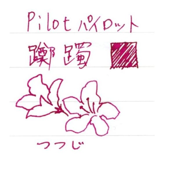 

INK-50-TT Pilot Iroshizuku Fountain Pen Ink Tsutsuji 50ml