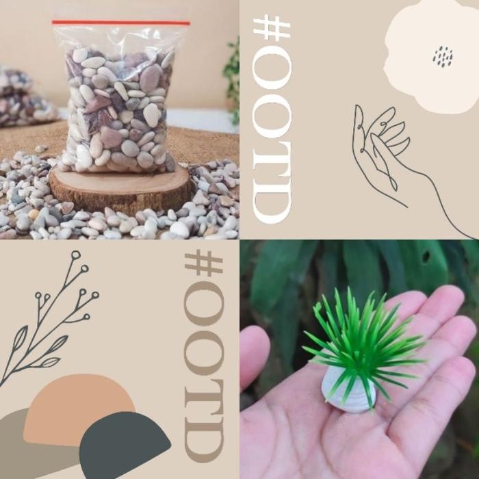 AQUARIUM MINI KACA TABUNG / AKUARIUM IKAN HIAS KECIL GUPPY CUPANG / AQUASCAPE