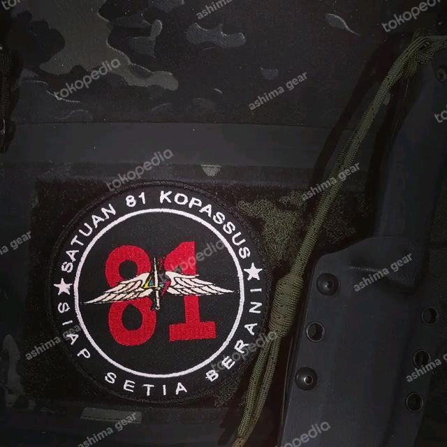 TERLARIS patch sat 81 gultor