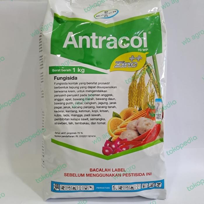 Fungisida Antracol 1 Kg