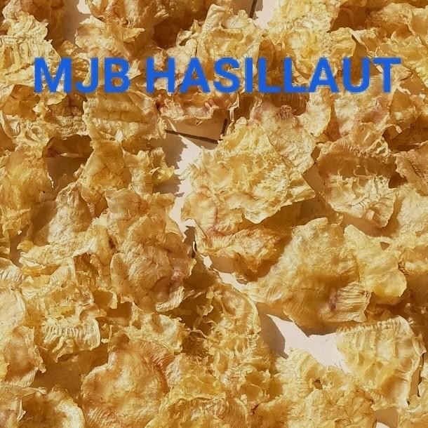 

gelembung ikan, perut ikan, hipio, yi phiau , 1kg