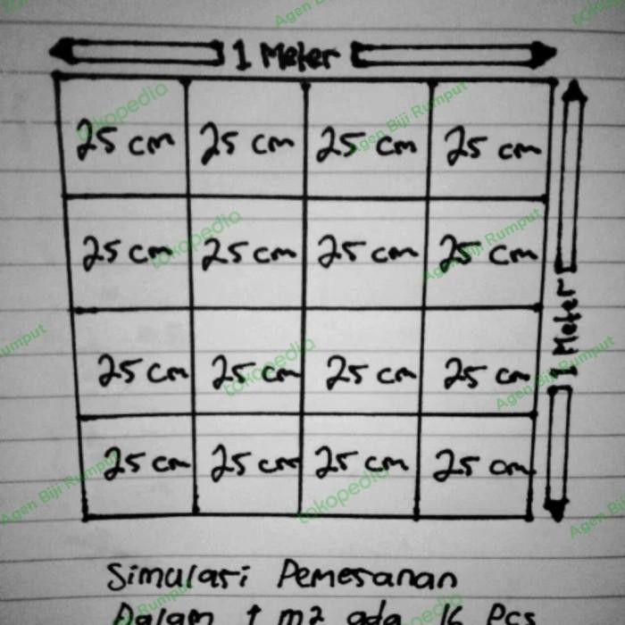 

(Expert) Rumput sintetis Swiss - Karpet sintesis Swiss 25x25cm