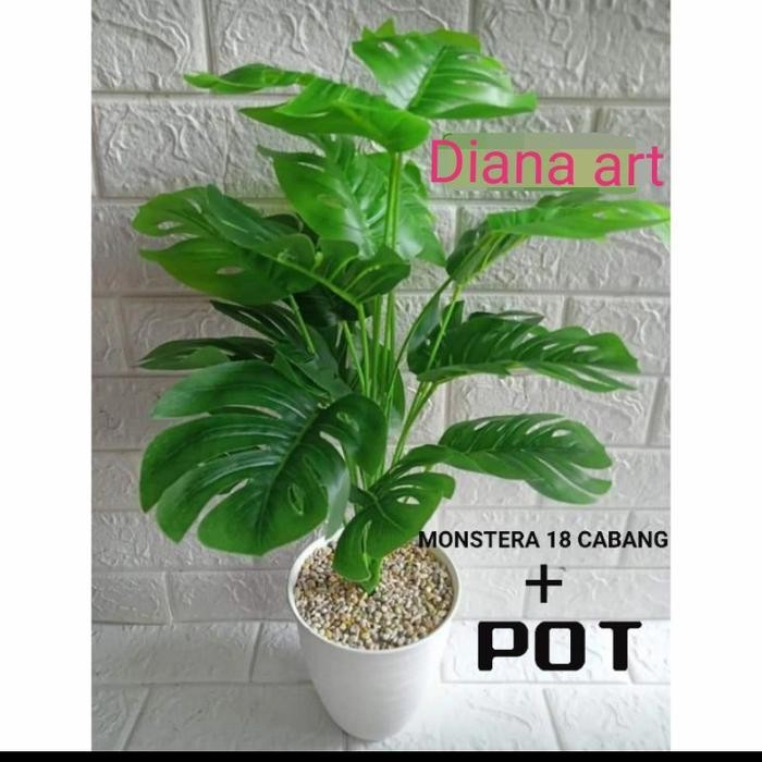 monstera latex#monstera 18 daun#mronstera plastik#daun keladi