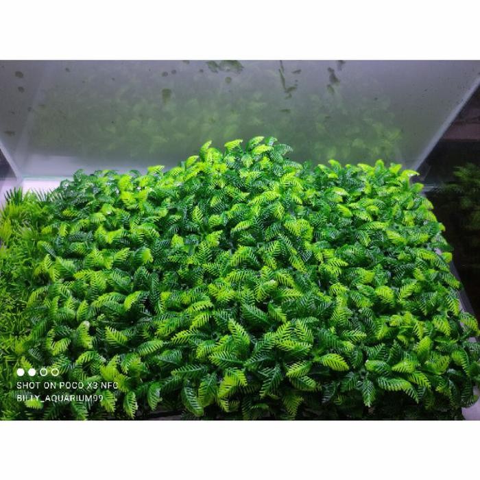 Rumput sintetis Rumput plastik daun kelapa dekorasi hiasan Aquarium
